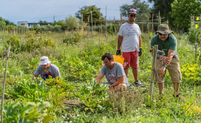 Milleorti per il Turismo: 20 alberghi di Rimini a supporto di un progetto che unisce disabilità e lavoro