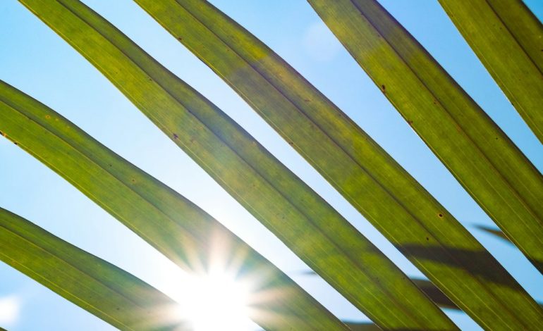 Net zero destination: meno di due aziende su dieci in Italia sulla buona strada